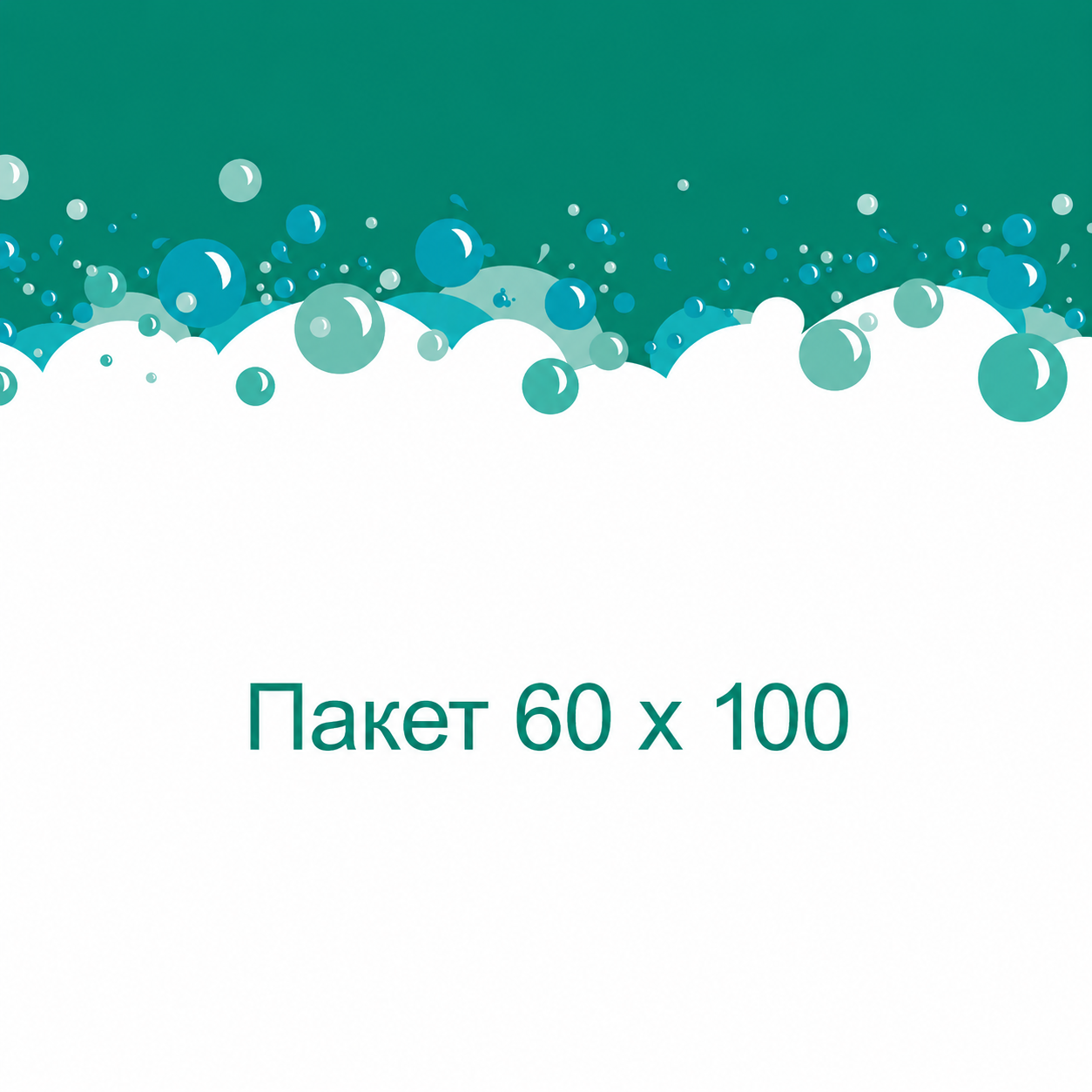 Пакет 60 х 100